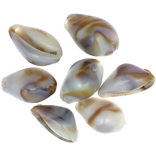 Koraliki muszelki / akrylowe / brązowy / 19x12x10mm / 20szt-13070