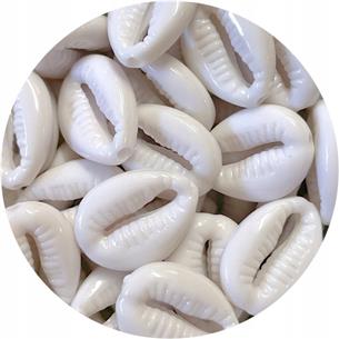 Koraliki muszelki kauri / akrylowe / biały / 18x13mm / 25szt-11954