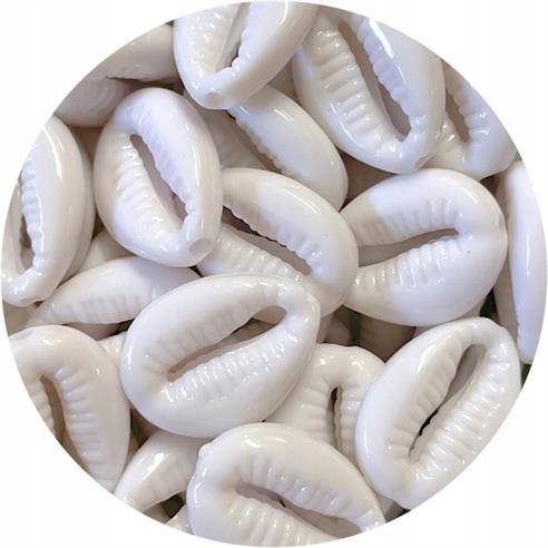 Koraliki muszelki kauri / akrylowe / biały / 18x13mm / 25szt-11954